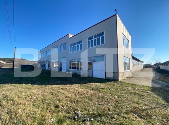Spațiu industrial de închiriat Bariera Valcii - 127851SII | BLITZ Craiova | Poza1