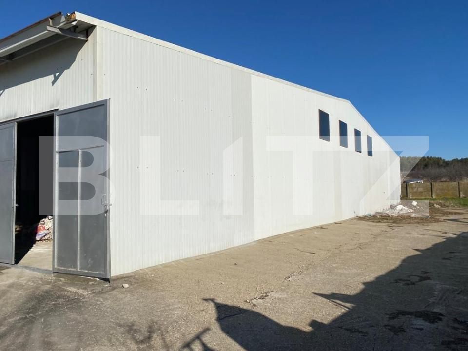 Spațiu industrial de închiriat Bariera Valcii - 127851SII | BLITZ Craiova | Poza3