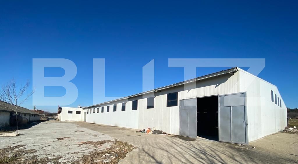 Spațiu industrial de închiriat Bariera Valcii - 127851SII | BLITZ Craiova | Poza5