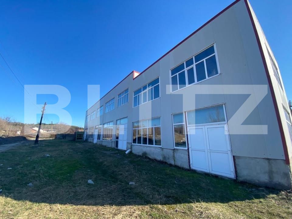 Spațiu industrial de închiriat Bariera Valcii - 127851SII | BLITZ Craiova | Poza2