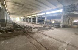 Hale industriale, 30000 mp, teren 65000 mp, zona Podari