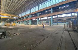 Spatiu industrial, 19900 mp, pod rulant 50 tone, zona Craiova Est