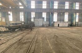 Spatiu industrial, 19900 mp, pod rulant 50 tone, zona Craiova Est