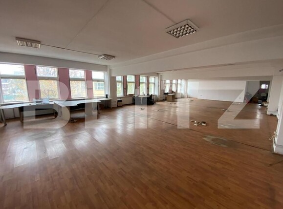 Spațiu birouri de închiriat Lapus - 127855SIB | BLITZ Craiova | Poza1