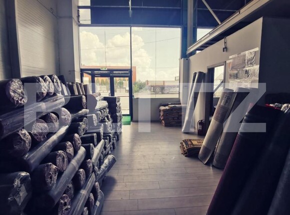 Spațiu industrial de vânzare Exterior Est - 127872SVI | BLITZ Craiova | Poza13