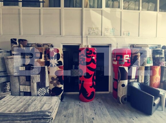 Spațiu industrial de vânzare Exterior Est - 127872SVI | BLITZ Craiova | Poza12