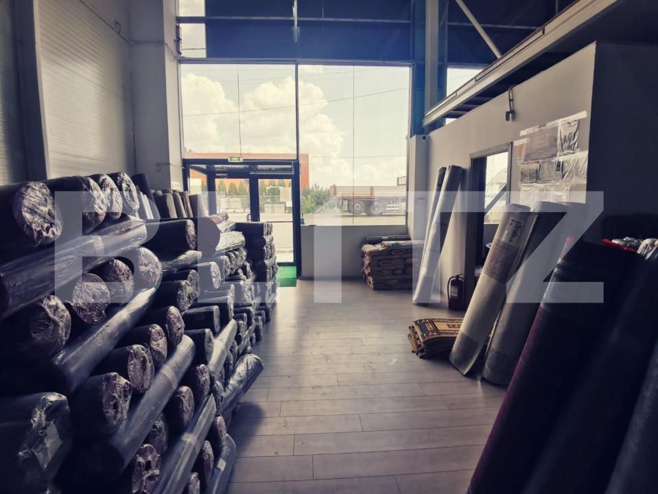 Spațiu industrial de vânzare Exterior Est - 127872SVI | BLITZ Craiova | Poza13