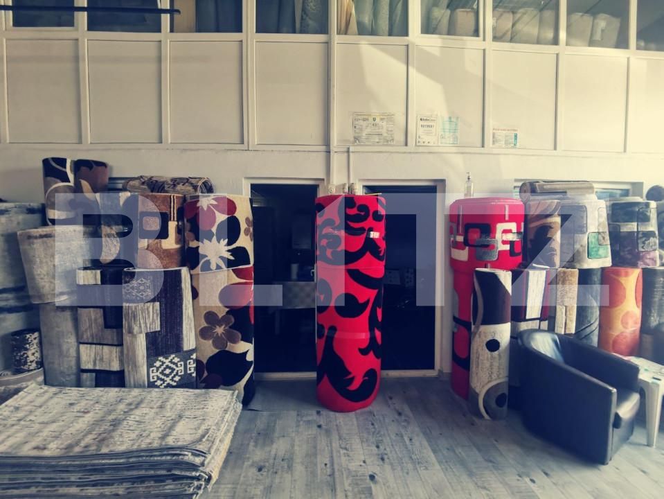 Spațiu industrial de vânzare Exterior Est - 127872SVI | BLITZ Craiova | Poza12