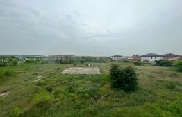 Teren intravilan 12.490 mp, toate utilitățile, drum asfaltat, Brestei