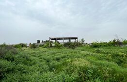 Teren intravilan 12.490 mp, toate utilitățile, drum asfaltat, Brestei