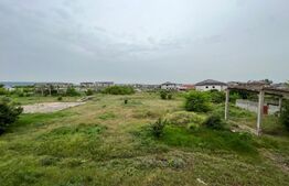 Teren intravilan 12.490 mp, toate utilitățile, drum asfaltat, Brestei