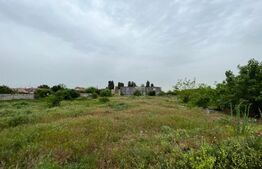 Teren intravilan 12.490 mp, toate utilitățile, drum asfaltat, Brestei