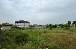 Teren intravilan 12.490 mp, toate utilitățile, drum asfaltat, Brestei