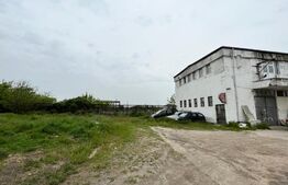 Teren intravilan 12.490 mp, toate utilitățile, drum asfaltat, Brestei