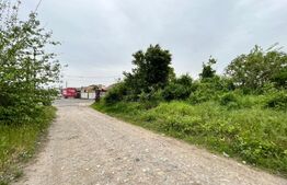 Teren intravilan 12.490 mp, toate utilitățile, drum asfaltat, Brestei