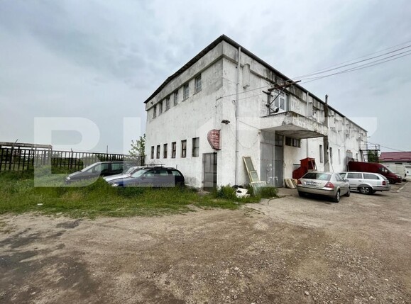 Teren de vânzare Brestei - 127876TV | BLITZ Craiova | Poza6