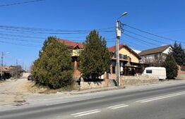 Vila cu restaurant plus spatii de cazare si 1000 mp teren 