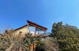 Vila cu restaurant plus spatii de cazare si 1000 mp teren 