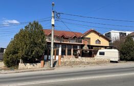 Vila cu restaurant plus spatii de cazare si 1000 mp teren 