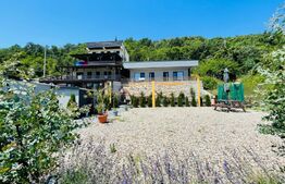 Pensiune 360 mp utili, teren 600 mp, Dubova