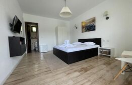 Pensiune 360 mp utili, teren 600 mp, Dubova