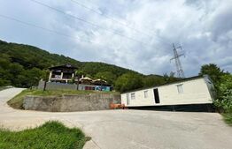  Pensiune 4* , 3500 mp, teren 4500 mp, pe malul Dunarii, Dubova