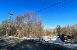 Pădure 2 km - 18 ha, zona Leamna