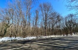 Pădure 2 km - 18 ha, zona Leamna