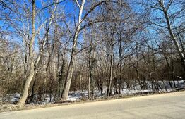 Pădure 2 km - 18 ha, zona Leamna