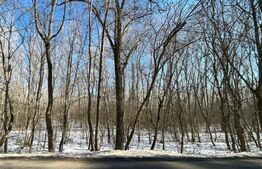 Pădure 2 km - 18 ha, zona Leamna