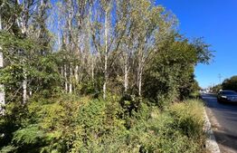 Pădure 2 km - 18 ha, zona Leamna