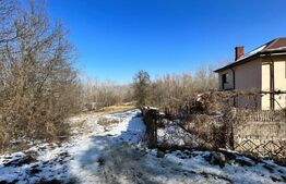 Pădure 2 km - 18 ha, zona Leamna