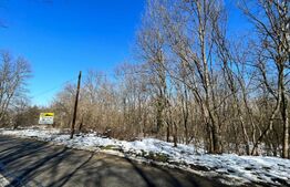 Pădure 2 km - 18 ha, zona Leamna