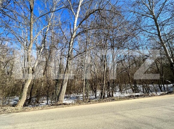 Teren de vânzare Sud - 127921TV | BLITZ Craiova | Poza7