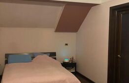 Vilă deosebită 500 mp utili cu 1.400 mp teren, zona Ford