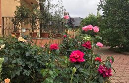 Vilă deosebită 500 mp utili cu 1.400 mp teren, zona Ford