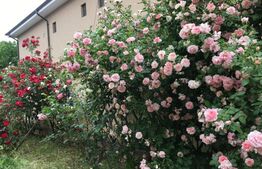 Vilă deosebită 500 mp utili cu 1.400 mp teren, zona Ford