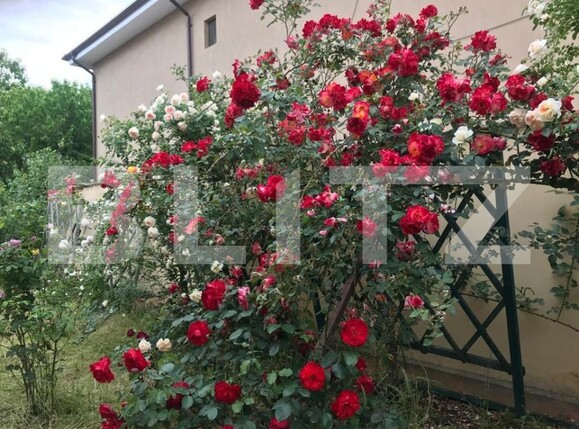 Casa de vânzare 5 camere Exterior Est - 127922CV | BLITZ Craiova | Poza9