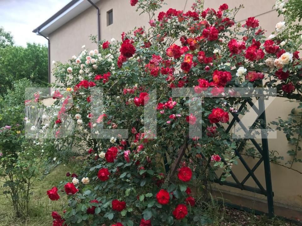 Casa de vânzare 5 camere Exterior Est - 127922CV | BLITZ Craiova | Poza9