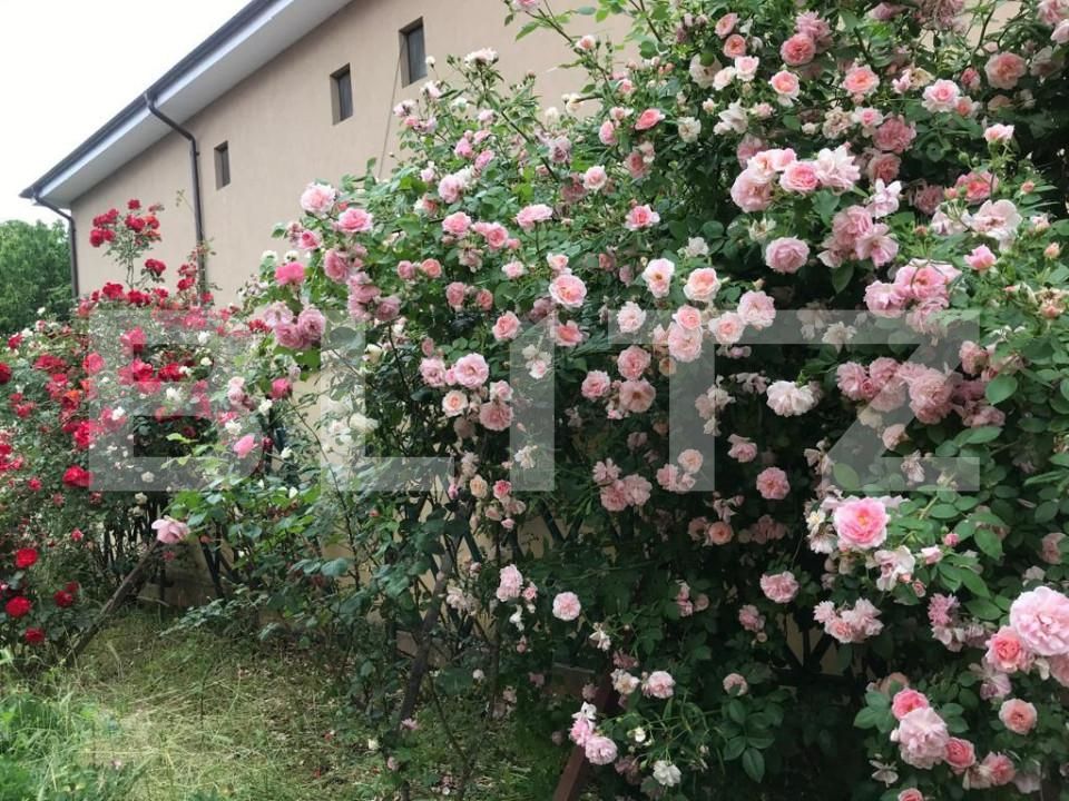 Casa de vânzare 5 camere Exterior Est - 127922CV | BLITZ Craiova | Poza8