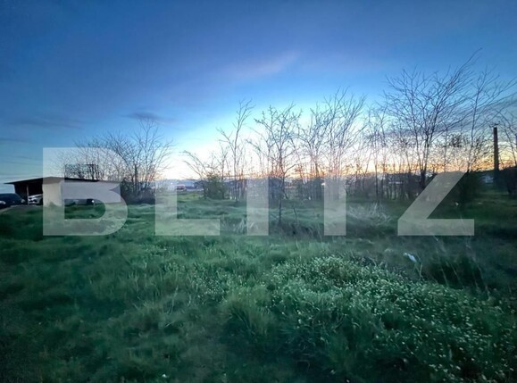 Teren de vânzare Malu Mare - 127925TV | BLITZ Craiova | Poza4