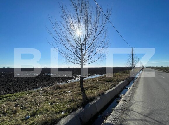 Teren de vânzare Bordei - 127971TV | BLITZ Craiova | Poza1