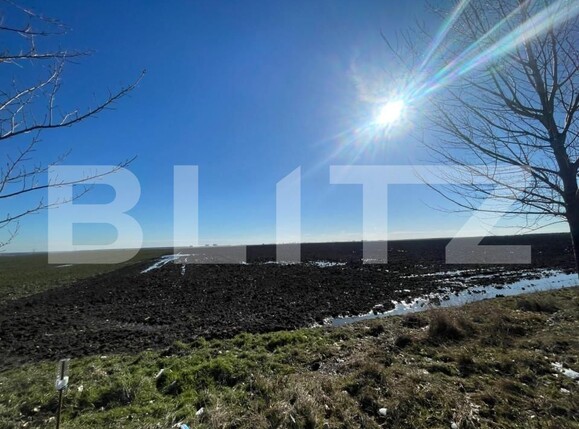 Teren de vânzare Bordei - 127971TV | BLITZ Craiova | Poza2