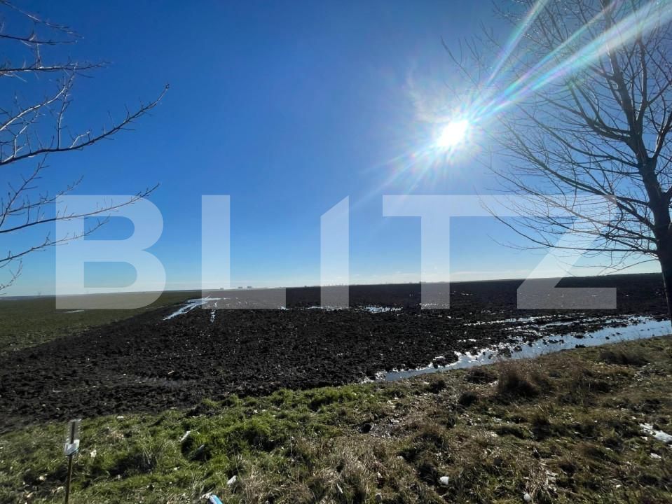 Teren de vânzare Bordei - 127971TV | BLITZ Craiova | Poza2