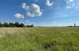 Teren intravilan 8200mp, zona Aeroport, deschidere 77m