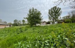 Oportunitate! Teren 30,000 mp, Bals