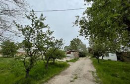 Oportunitate! Teren 30,000 mp, Bals