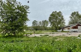 Oportunitate! Teren 30,000 mp, Bals