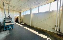 Hale Laborator cu teren 10000 mp, zona Malu Mare