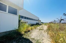 Hale Laborator cu teren 10000 mp, zona Malu Mare